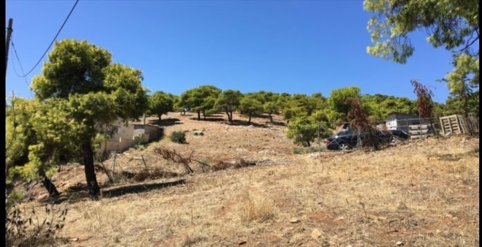 (For Sale) Land Plot || Athens North/Penteli - 450 Sq.m, 100.000€ 