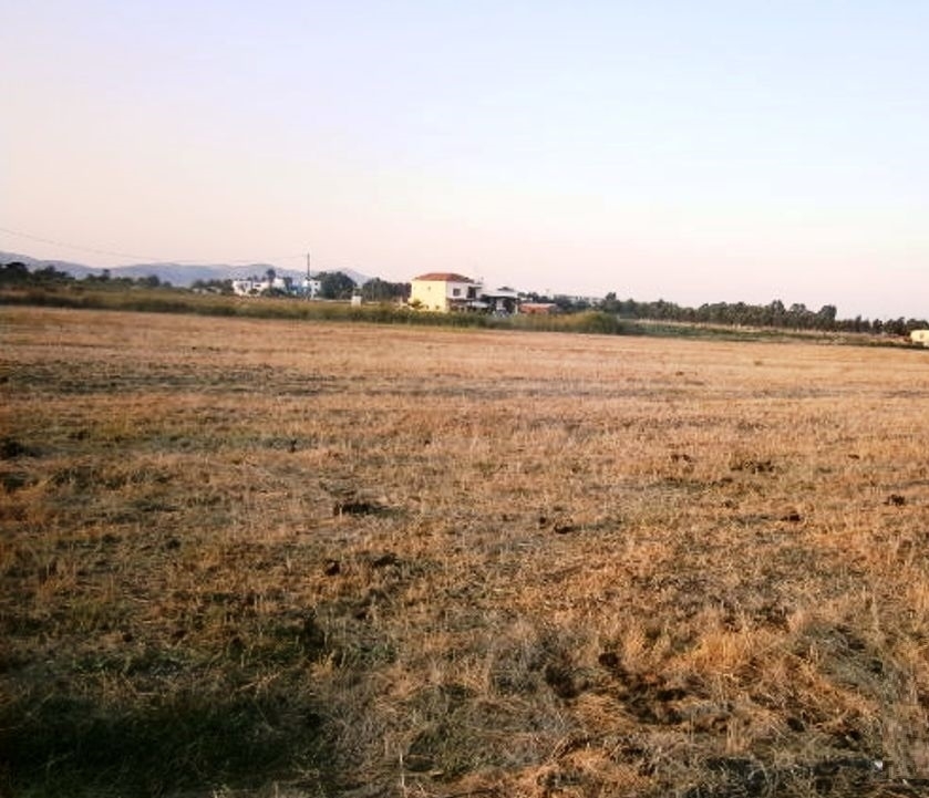 (For Sale) Land Agricultural Land  || Evoia/Avlona - 18.500 Sq.m, 70.000€ 