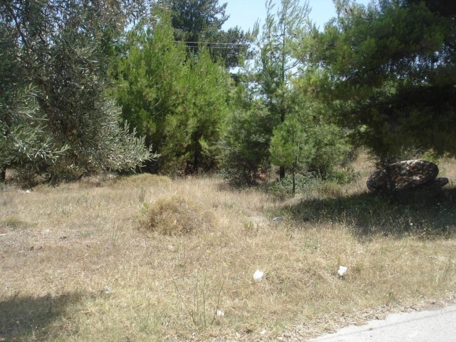 (For Sale) Land Agricultural Land  || Voiotia/Orchomenos - 1.048 Sq.m, 8.000€ 