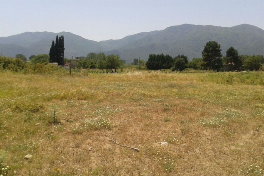 (For Sale) Land Plot || Cyclades/Andros Chora - 8.420 Sq.m, 75.000€ 